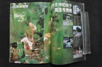 4　盗撮　アベックFOCUS　赤外線盗撮アクション