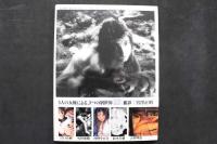 4　masaaki miyazawa  masturbation photograph  mmmp