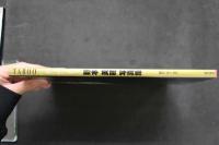 4　TABOO タブー　野本美穂写真集