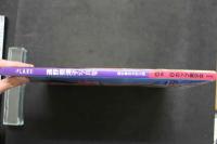 4　FLARE　遠野奈津子写真集