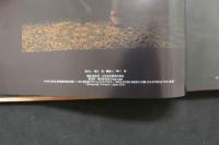 4　緊縛　荒井美恵子写真集