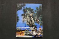 4　白都真理写真集　CAFFE　SANTOS