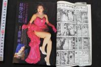 7　シーメール白書　Vol.11　平成7年2月号