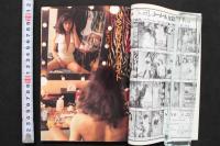 7　シーメール白書　vol.13　平成7年6月号