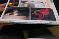 7　シーメール白書　vol.15　平成7年10月号