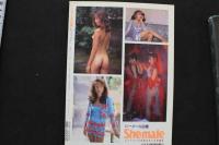 7　シーメール白書　vol.16　平成7年12月号