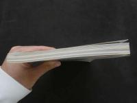 ８　HIP PRESS　VOL.8　お尻にとりつかれた私たち