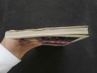 ８　ピスプレイマニア　VOL.1　平成8年5月