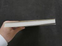 ８　シーメールラブGOLD　Vol.7　１９９７年１１月