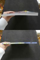 ８　瑛画で脱いだ世界のアイドル女優たち　外国映画スターの衝撃写真集PART2　