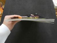 ８　チャンスGOLD豪華版　小悪魔　１２月号　昭和５５年