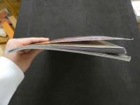 ８　スーパーレッグカレンダー　１９９８年１２月