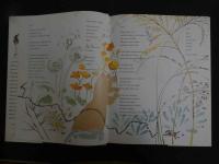 5　2  THE BEAUTY OF THE BEAST　Jack　Prelutsky　Neilo So　英文
