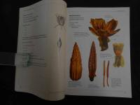 5　2  The SCIENCE Behind Flowers　Plant Morphology for Botanical Artisits　Diek Rauh　Jett Falk　英文