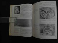 5　2  Ruskin and Venice　Robert Hewison　Thames&hudson　英文