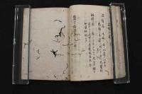 5　2  医方摘要　名古屋玄医撰　江戸後期頃写　92丁　全5巻　取合せ本　2冊