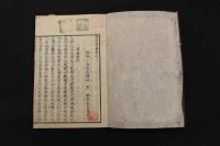 5　2  病因精義　小森桃塢述　10巻　全10冊