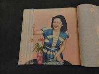 5　2  昭和28年度　図扇画帖　天・地巻　2冊　119図