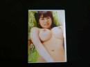 ８　永作ゆう美　あまえんぼう　75分　R-15　イメージDVD
