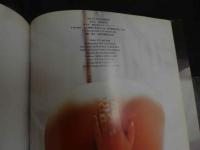 ６　みなみゆい写真集　first Eros　撮影/竹内彩