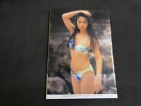６　5　櫻井淳子写真集　South Bound　撮影/横木安良夫