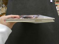 ８　金沢文湖セカンド写真集　かなぶん、飛んだ。