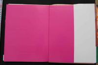 7　青山麗子写真集　CALL　GIRL