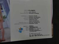 ８　及川奈央写真集　ムーン・フラワー