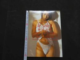 ８　神田美咲初ヌード写真集　le soleil　ル・ソレイユ　A4サイズフォトカード2枚付