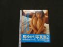 ８　橘ゆかり写真集　Road Movie