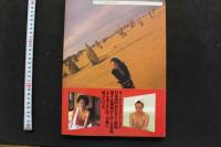 7　新藤恵美写真集　SPLASH　③