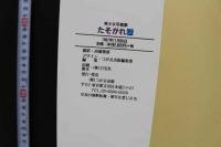 7　夏木あやの写真集　たそがれ濡
