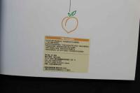 7　写真集　Hip Complex　ヒップコンプレックス