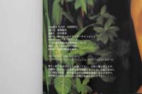 4　SHI・NO・BU　写真集　Lolipop Angel