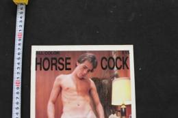 7　0　洋雑誌　HORSE COCK