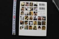 7　写真集　OFFICELADY COMPLEX　オフィスレディ・コンプレックス
