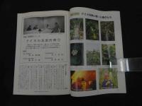 ６　８　月刊東洋医学　　