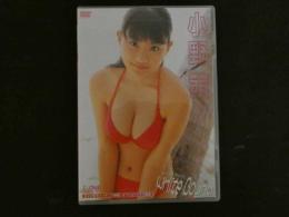 １　８　イメージDVD　小野茜　ホワイトバウンド　　