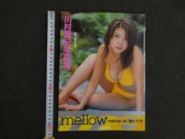 １３　川村亜紀写真集 mellow making of 『海ビデオ』