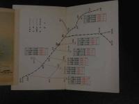 １３　石川県　温泉案内　　鳥瞰図・案内　両面印刷　約15.5×77cm　戦前　古地図　古文書