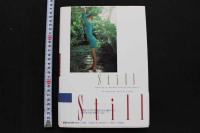 7　葉山レイコ写真集　Still　週刊プレイボーイ特別編集