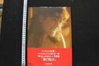 7　芦川よしみ写真集　蒼の融点　週刊プレイボーイ特別編集