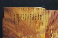 7　甲斐智枝写真集　つれてって
