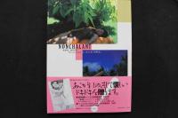 4　MOMOCO特別編集　小松みどり写真集NONCHALANT