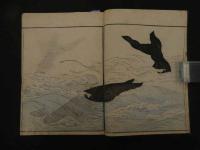 ６　８　魚貝略画式　鍬形蕙斎（北尾政美）文化１０年　全1冊　帙入　