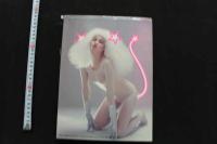 7　写真集　gals Mate ギャルズ・メイト　週刊プレイボーイ特別編集