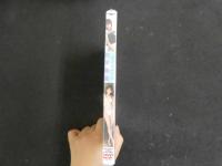 ３３　イメージDVD WhiteStorm 白川茉知　　