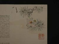 8　狂歌・俳諧刷物　絵師不明　松に羽根　木版彩色刷　約20×56cm　