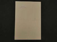 8　8　狂歌・俳諧刷物　絵師不明　丹頂鶴　木版彩色刷　約38.5×25.5cm　