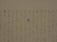 8　8　狂歌・俳諧刷物　絵師不明　イセエビとミカン　木版彩色刷　約20×56cm　